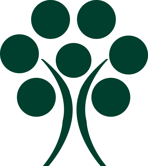 Kingsport City School logo